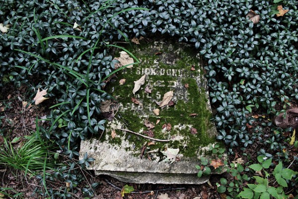 docs_die_grave_pic